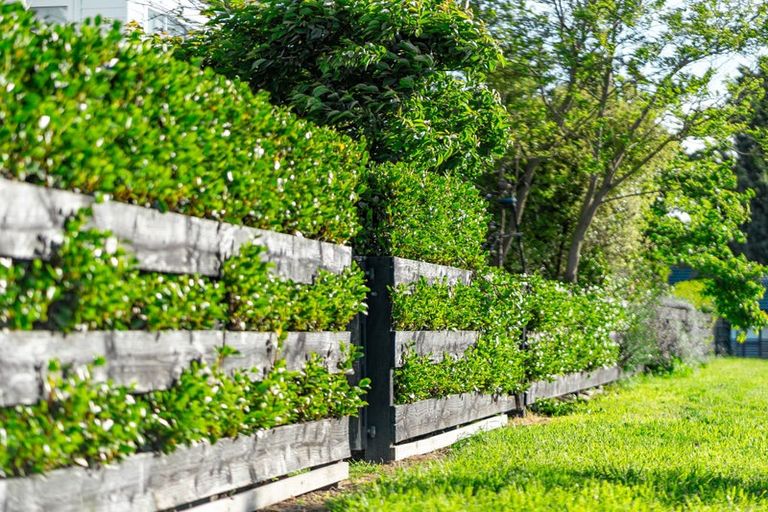 Photo of property in 2 Atatu Lane, Wigram, Christchurch, 8025