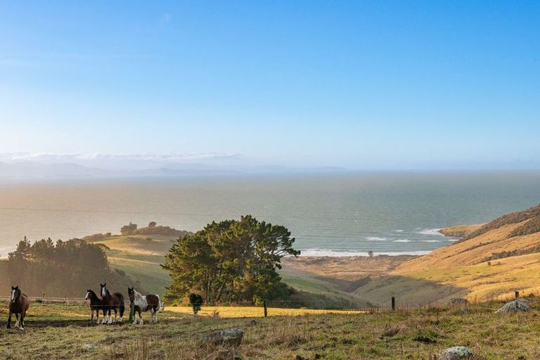 Photo of property in 378 Heyward Point Road, Heyward Point, Port Chalmers, 9081