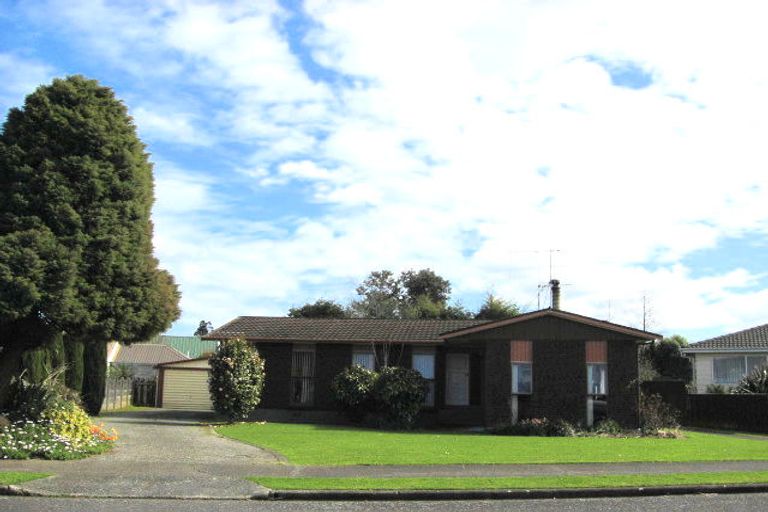 Photo of property in 41 Rimu Street, Levin, 5510