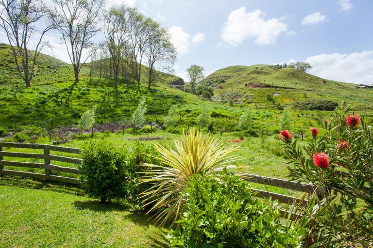 Photo of property in 526 Waitetuna Valley Road, Waitetuna, Raglan, 3295