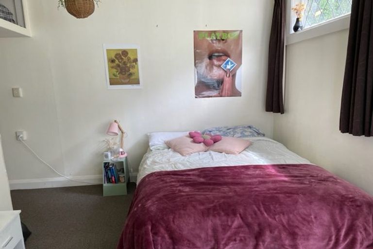 Photo of property in 11 Plunket Street, Kelburn, Wellington, 6012