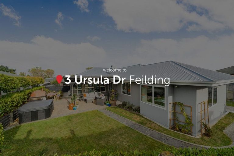 Photo of property in 3 Ursula Drive, Feilding, 4702