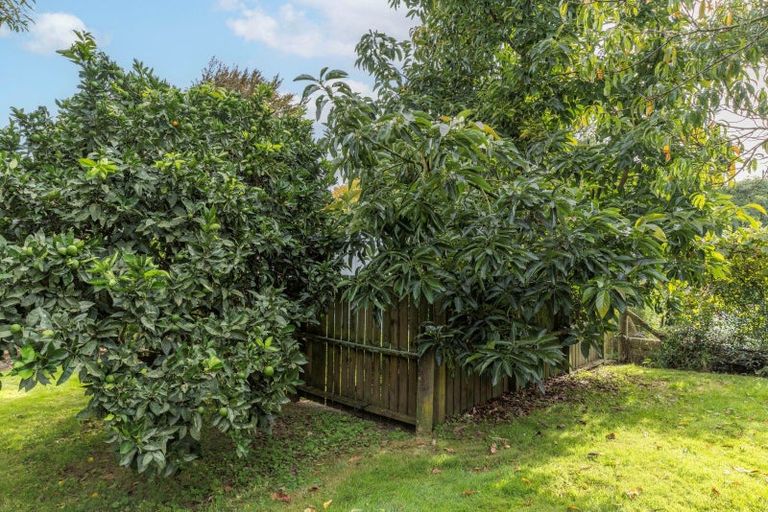 Photo of property in 107 Horrell Road, Morrinsville, 3374