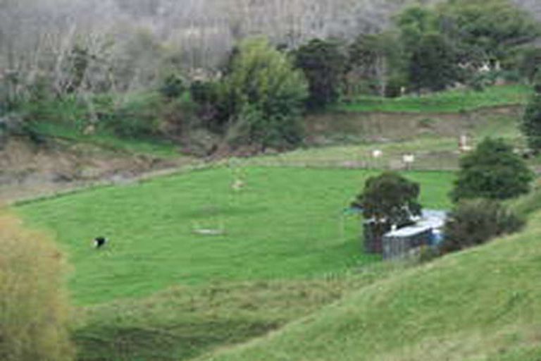 Photo of property in 77 Goodwin Road, Matokitoki, Gisborne, 4071