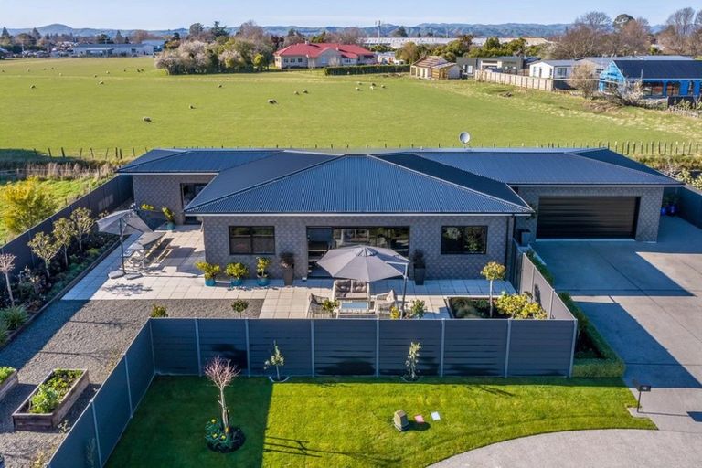 Photo of property in 16 Plains Avenue, Masterton, 5810