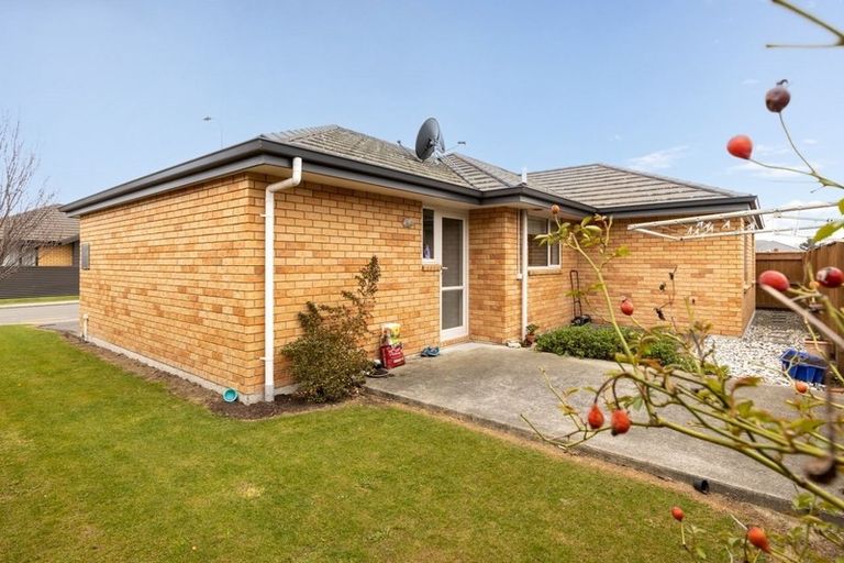 Photo of property in 6 Olwyn Place, Blenheim, 7201