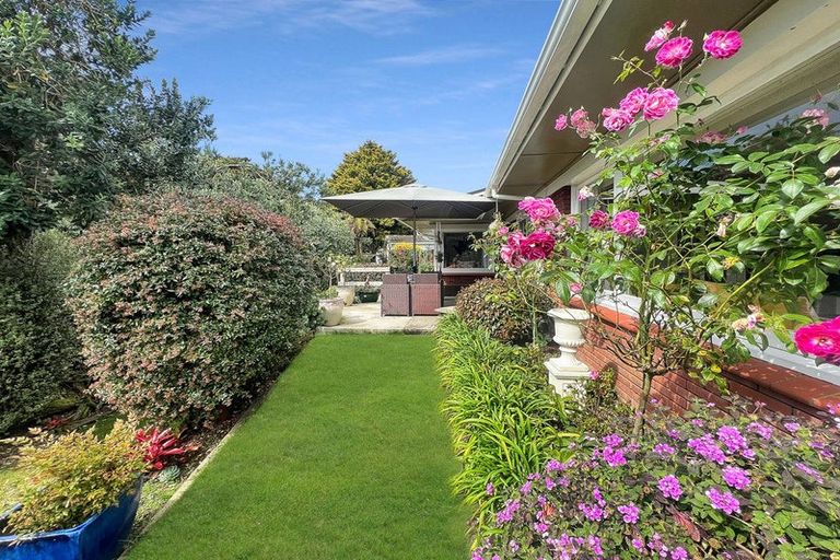 Photo of property in 6 Strathmore Place, Whakatane, 3120