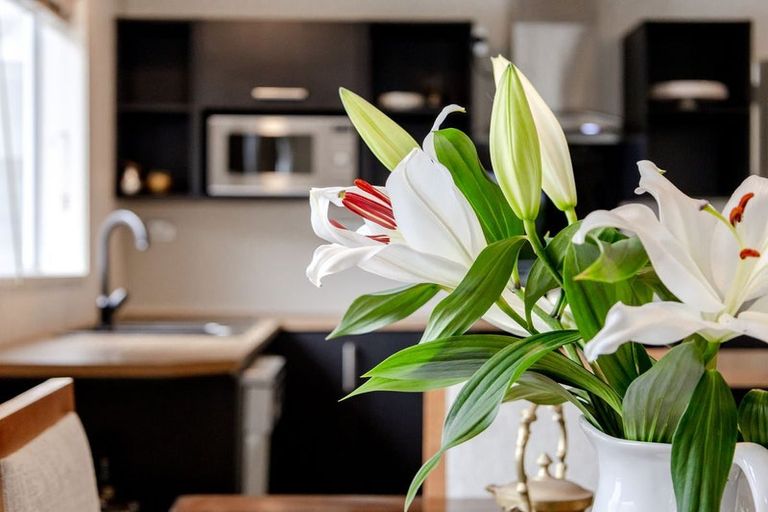 Photo of property in 24 Kilgour Road, Greymouth, 7805