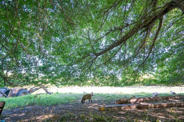 Photo of property in 413 Henderson Valley Road, Henderson Valley, Auckland, 0612