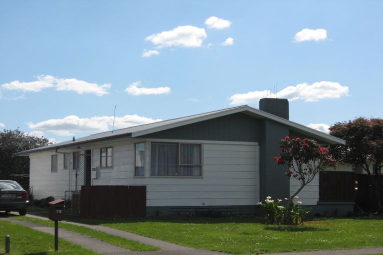 Photo of property in 75 James Henry Crescent, Huntly, 3700