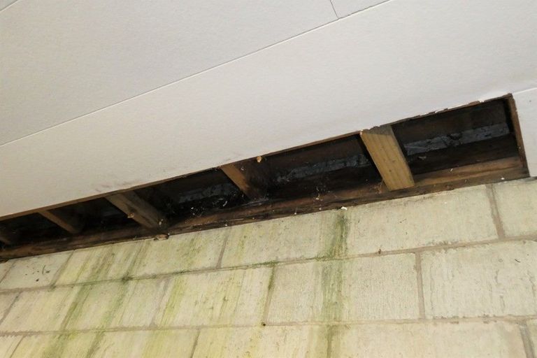 Photo of property in 26 Mills Street, Runanga, 7803