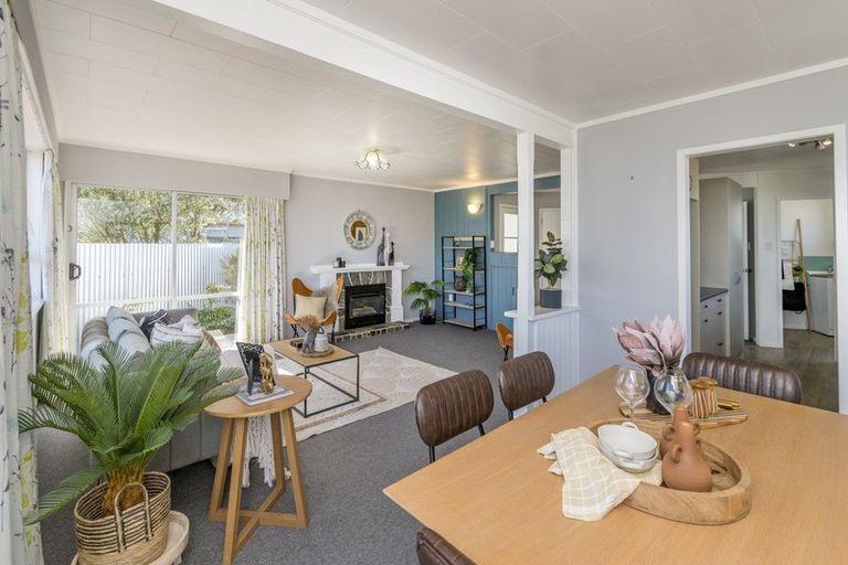 Photo of property in 183 Tiro Tiro Road, Levin, 5510