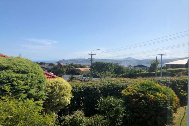 Photo of property in 222 Highcliff Road, Shiel Hill, Dunedin, 9013