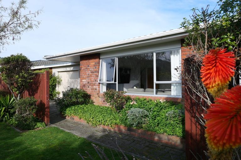 Photo of property in 17a Andrew Street, Waikanae, 5036