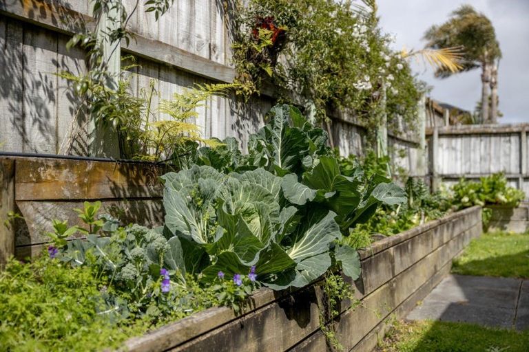 Photo of property in Seacrest, 34/200 Papamoa Beach Road, Papamoa Beach, Papamoa, 3118