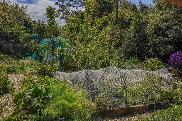 Photo of property in 509 Conway Flat Road, Conway Flat, Cheviot, 7384