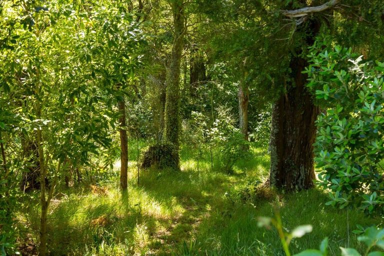 Photo of property in 180 Underhill Road, Woodside, Greytown, 5794