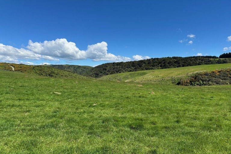 Photo of property in 205 Otokia-kuri Bush Road East, Kuri Bush, Dunedin, 9091