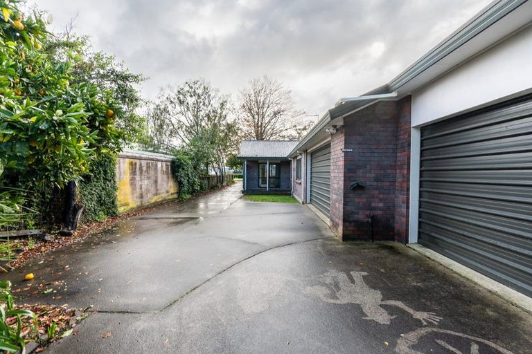 Photo of property in 14 Vine Street, Hillcrest, Hamilton, 3216