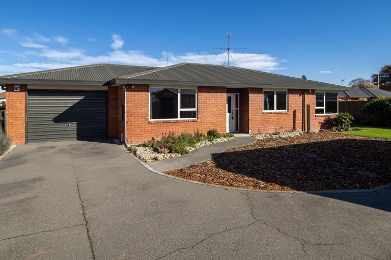 Photo of property in 49b Eton Street, Hampstead, Ashburton, 7700