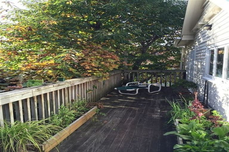 Photo of property in 98 Calgary Street, Mount Eden, Auckland, 1041