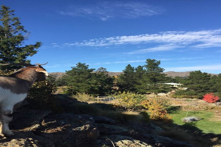 Photo of property in 18a The Half Mile, Bridge Hill, Alexandra, 9320