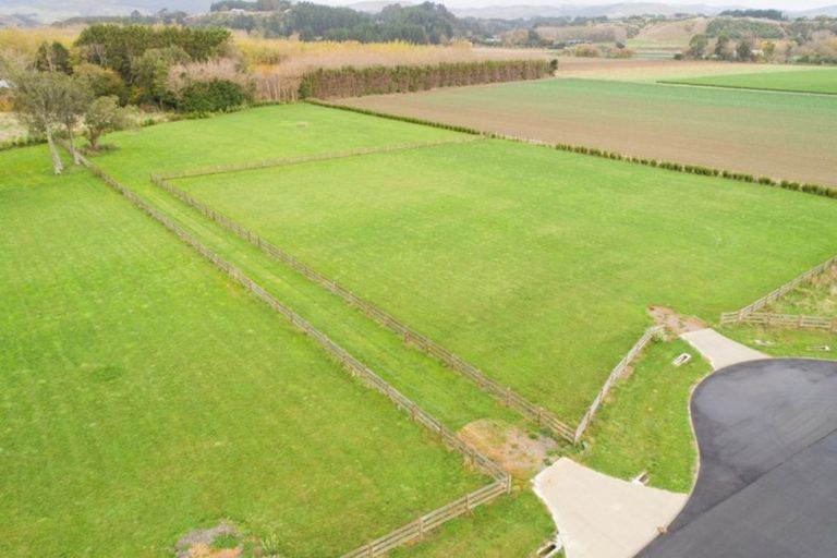 Photo of property in 15 Pheasant Lane, Aokautere, Palmerston North, 4471