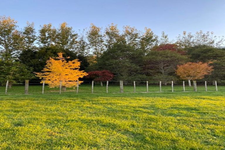 Photo of property in 853b Dairy Flat Highway, Dairy Flat, Albany, 0792