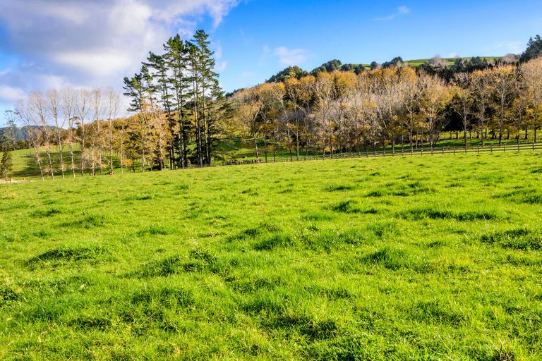 Photo of property in 1149b Whangaripo Valley Road, Whangaripo, Wellsford, 0972