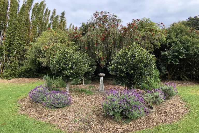 Photo of property in 19a Riverview Road, Kerikeri, 0230