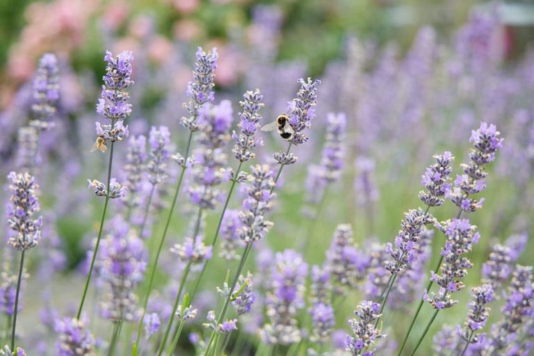 Photo of property in 219 Beach Road, Kaikoura, 7300