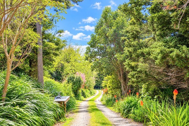 Photo of property in 61 Waikawau Valley Road, Kereta, Thames, 3575