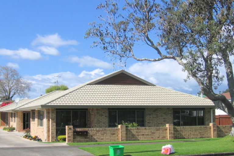 Photo of property in 33a Manson Street, Gate Pa, Tauranga, 3112