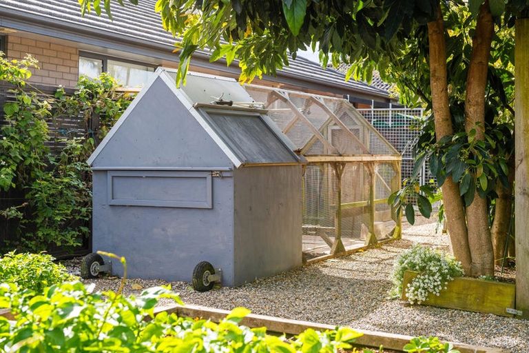 Photo of property in 33 Haswell Place, Huntington, Hamilton, 3210