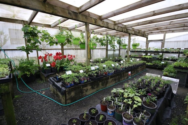 Photo of property in 13 Jellicoe Road, Ruawai, 0530