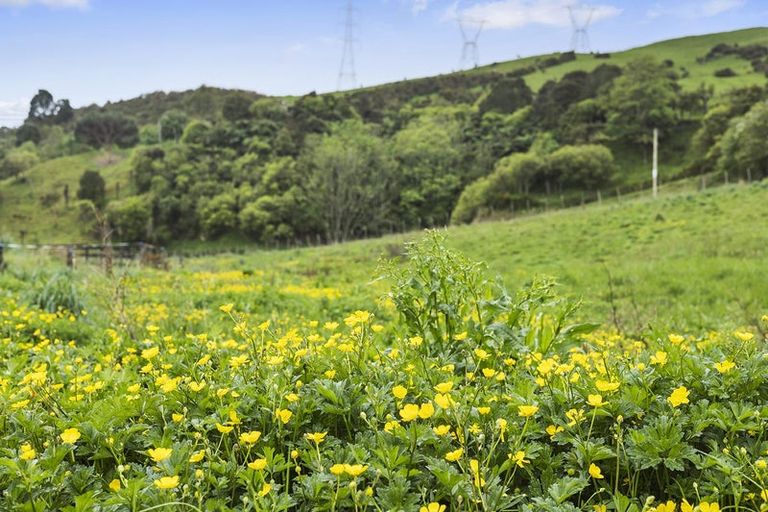 Photo of property in 95 Norwegian Road, Cambridge, 3495