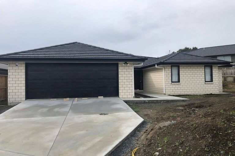 Photo of property in 19 Ribbonwood Close, Te Kauwhata, 3710