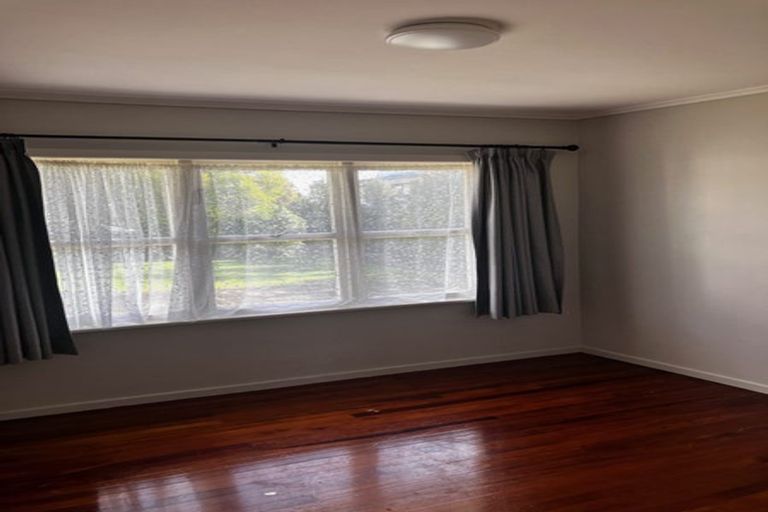 Photo of property in 59 Hutchinson Avenue, New Lynn, Auckland, 0600