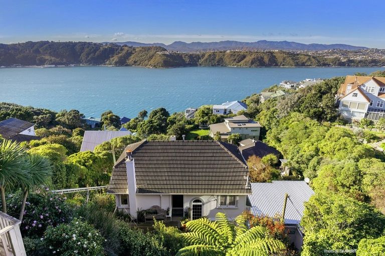 Photo of property in 167 Grafton Road, Hataitai, Wellington, 6011