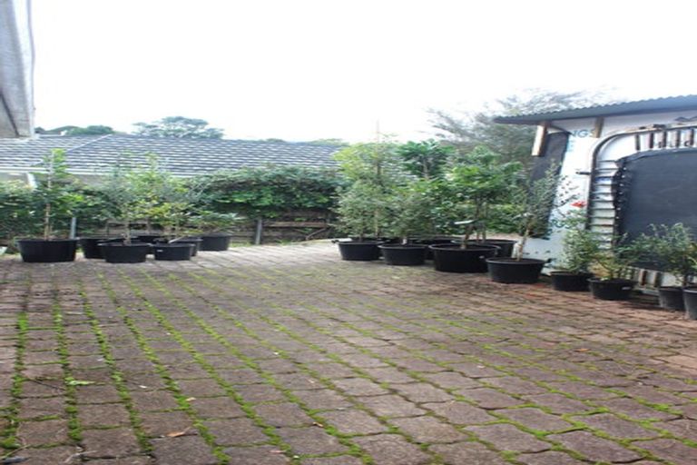 Photo of property in 33 Morton Avenue, Forrest Hill, Auckland, 0620