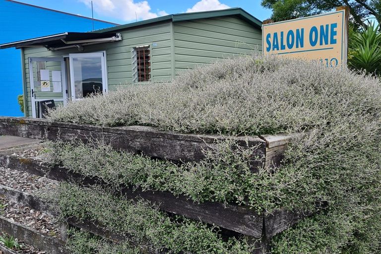 Photo of property in 68 Parry Palm Avenue, Waihi, 3610