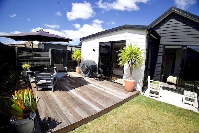 Photo of property in 6 Naismith Street, Chartwell, Hamilton, 3210