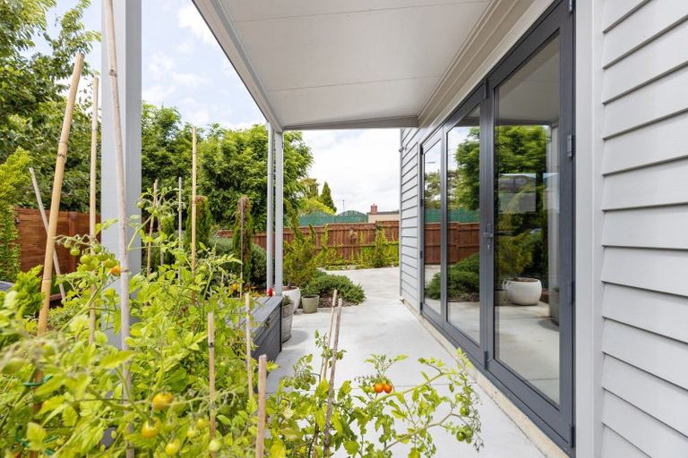 Photo of property in 44 Long Melford Road, Awapuni, Palmerston North, 4412