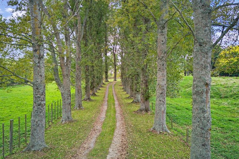 Photo of property in 733a Bryce Road, Ngakuru, Rotorua, 3077