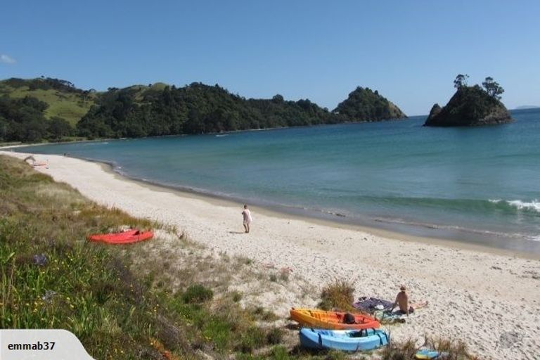 Photo of property in 46 Te Punga Road, Whangapoua, Coromandel, 3582