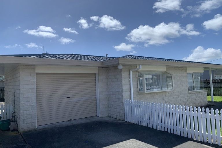 Photo of property in 81 Winchester Street, Levin, 5510