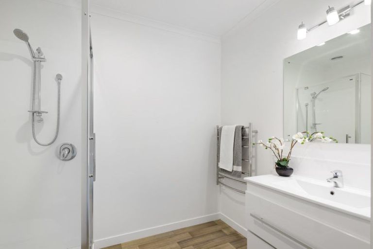 Photo of property in 42 Cook Street, Hamilton East, Hamilton, 3216