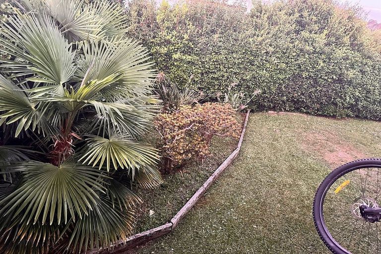 Photo of property in 121 Carlisle Road, Northcross, Auckland, 0632