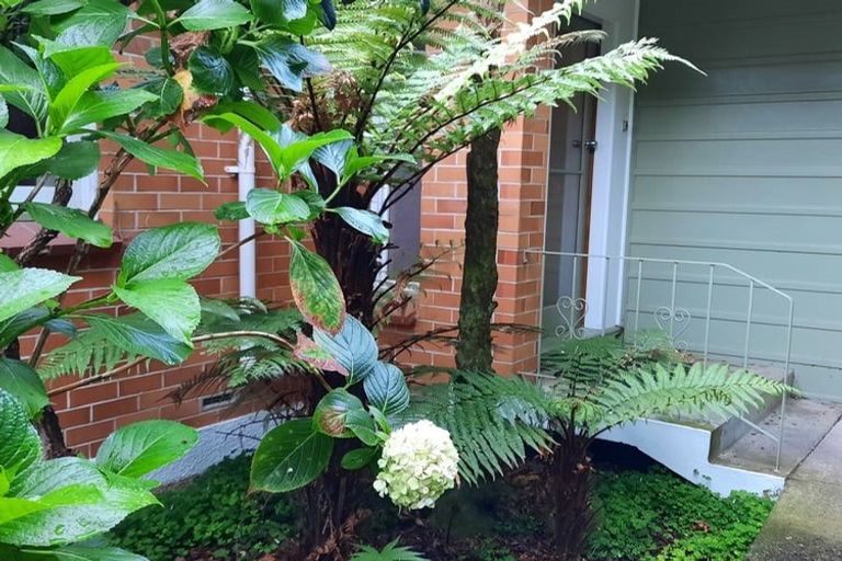 Photo of property in 191 Evans Street, Opoho, Dunedin, 9010