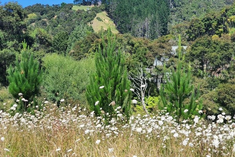 Photo of property in 146 Burnside Road, Makarau, Kaukapakapa, 0873
